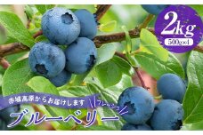 赤城高原で育ったフレッシュなブルーベリー 2kg フルーツ 果物 果実 群馬県 渋川市 F4H-0287