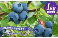 赤城高原で育ったフレッシュなブルーベリー 1kg フルーツ 果物 果実 群馬県 渋川市 F4H-0286