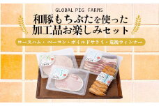 和豚もちぶたを使った加工品お楽しみセット（ロースハム、ベーコン、サラミ、ウィンナー）ハム 肉 豚肉 燻製 おつまみ お弁当 おかず F4H-0290