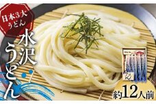 日本3大うどん 水沢うどん 約12人前 《商標登録の店が作った水沢うどん》 うどん 麺 麺類 加工品 食品 群馬県 渋川市 F4H-0432