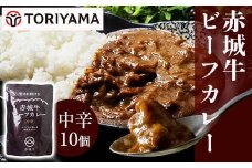 赤城牛 ビーフカレー（中辛）200g×10個 《ご当地レトルトカレーランキング全国第3位受賞》カレー レトルト 牛肉 銘柄牛 赤城牛 長期保存 群馬 渋川市 F4H-0469