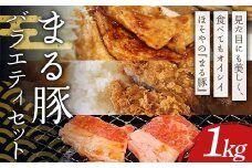 まる豚 バラエティセット1kg（もも一口かつ用300g・切り落し200g・バラ焼肉300g・ひき肉200g） F4H-0519