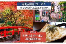 群馬県 渋川市 旅行クーポン 30,000円分 温泉  伊香保 小野上 観光 旅行 ホテル 旅館 老舗 高級 トラベル チケット 家族 カップル 宿泊 予約 おすすめ 父の日 母の日 旅行券 宿泊券 F4H-0523