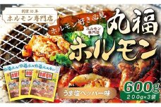 【定期便・全6回】 焼くだけ簡単「丸福ホルモン (うま塩ペッパー味)」定期便 合計3.6kg（600g×6回）｜豚ホルモン 豚⾁ 焼⾁ BBQ ガツナンコツ レバー ⽩モツ ⼤トロ ちょい飲み 味付き 冷凍便 F4H-0501