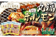 【定期便・全6回】焼くだけ簡単「丸福ホルモン (うま塩ペッパー味)」定期便 合計7.2kg（1.2kg×6回）｜豚ホルモン 豚⾁ 焼⾁ BBQ ガツナンコツ レバー ⽩モツ ⼤トロ ちょい飲み 味付き 冷凍便 F4H-0502