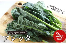 栄養満点野菜アレッタ 10束(2kg) 群馬県 渋川市 F4H-0541