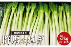 群馬のねぎ 5kg(30〜40本) 群馬県 渋川市 F4H-0542