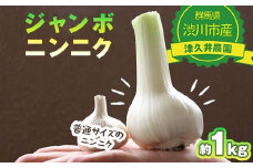 ジャンボニンニク 1kg 薬味 野菜 食品 F4H-0521