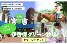 10種類のアトラクションチケットを全部1回ずつ体験できる グリーンチケット F4H-0539