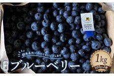 冷凍ブルーベリー1kg【5年連続最高金賞受賞 群馬県ブルーベリー品評会2021~2025年】 化学合成農薬 除草剤不使用 フルーツ 果物  F4H-0570