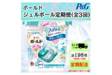 ＜2ヵ月毎定期便＞ボールド洗濯洗剤ジェルボール 爽やかフレッシュフラワーサボン  11粒×6個全3回【4052221】