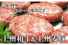手作り王様のハンバーグ（150g×6個）手ごね ハンバーグ 銘柄豚 ブランド豚 豚 肉 上州麦豚 上州和牛 牛肉 豚肉 セット お弁当 おかず 冷凍 F20E-954