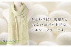  シルクシャーリングマフラー (草木染め)＜蚕のふん＞ シルクマフラー 紫 絹織物 富岡産 絹糸 草木染め ファッション 工芸 贈り物 ギフト F20E-067