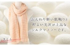  シルクシャーリングマフラー (草木染め)＜さくら＞ シルクマフラー 絹織物 富岡産 絹糸 草木染め  ファッション 工芸 贈り物 ギフト F20E-064