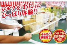 繭がシルク製品となる工程を体験！「シルク引っ張り体験」(シルクが入った枕のお土産付き) 体験 富岡 シルク 絹 お土産 枕 観光 旅行 F20E-285