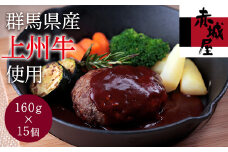 上州牛のハンバーグ (160g×15個) 赤城屋 上州牛 ハンバーグ セット 冷凍 お弁当 おかず F20E-008