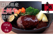 上州牛のハンバーグ (100g×8個) 赤城屋 上州牛 ハンバーグ セット 冷凍 お弁当 おかず F20E-006