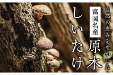 《先行予約》原木しいたけ（約2kg） F20E-095
