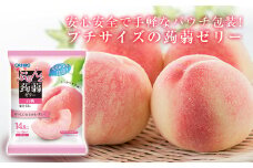 オリヒロ ぷるんと蒟蒻ゼリー パウチ ＜白桃＞ 1ケース(24袋入) こんにゃく ゼリー 蒟蒻 コンニャク 白桃 桃 食品 F20E-310