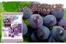 オリヒロ ぷるんと蒟蒻ゼリー パウチ ＜グレープ＞ 1ケース(24袋入) こんにゃく ゼリー 蒟蒻 コンニャク グレープ ぶどう 食品 F20E-307