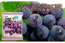 オリヒロ ぷるんと蒟蒻ゼリー パウチ ＜グレープ＞ 1ケース(24袋入) こんにゃく ゼリー 蒟蒻 コンニャク グレープ ぶどう 食品 F21E-477