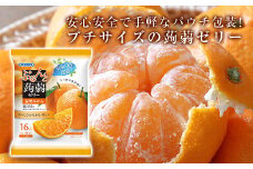 オリヒロ ぷるんと蒟蒻ゼリー パウチ ＜温州みかん＞ 1ケース(24袋入) こんにゃく ゼリー 蒟蒻 コンニャク 温州みかん みかん 食品 F20E-312