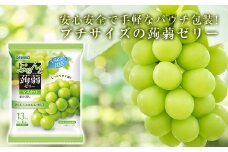 オリヒロ ぷるんと蒟蒻ゼリー パウチ ＜マスカット＞ 1ケース(24袋入) こんにゃく ゼリー 蒟蒻 コンニャク マスカット ぶどう 食品 F20E-311