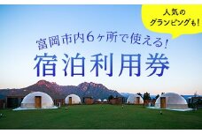 富岡市内ホテル・旅館・民宿利用券(3割相当額) 東雲館 ホテルアミューズ富岡 妙義グリーンホテル＆テラス 妙義ひしや旅館 宿泊券 利用券 クーポン チケット ホテル 旅館 民宿 トラベル 旅行 観光 F20E-206
