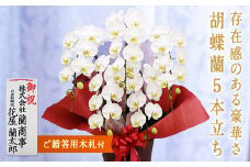 ＜白大輪＞ 胡蝶蘭 5本立ち (木札付) 大輪 花 こちょうらん コチョウラン 白大輪 白 ホワイト 記念日 お祝い 贈り物 ギフト 木札 F20E-428