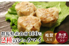 上州麦豚シュウマイ2種セット(椎茸入り・桑の葉パウダー入り) 銘柄豚 上州麦豚 ブランド豚 豚 肉 焼売 シイタケ 桑の葉 食べ比べ セット F21E-426