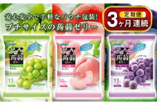 《3ヶ月定期便》 オリヒロ ぷるんと蒟蒻ゼリー パウチ 3種セット(各8袋) ＜3回＞ 定期便 3ヶ月 連続 こんにゃく ゼリー 詰合せ セット 食べ比べ 蒟蒻 コンニャク マスカット 白桃 グレープ 食品 F20E-857
