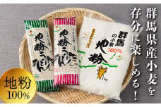 ぐんま生まれぐんま育ち (地粉・うどんセット) 群馬県産小麦 地粉 うどん 麺 セット 詰合せ 食品 F20E-466