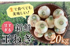 ＜先行予約＞《期間限定》甘すぎる新鮮玉ねぎ (20kg) 減農薬減 化学肥料 生食 たまねぎ 玉ねぎ タマネギ 早生 甘七宝 野菜 食品 F20E-682