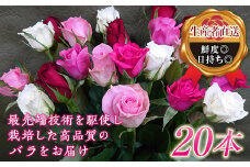 ＜生産者直送＞ バラの花束 (約20本) 薔薇 ばら バラ ミックス 花束 花 フラワーギフト 贈り物 ギフト 記念日 お祝い F20E-686