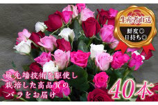 ＜生産者直送＞ バラの花束 (約40本) 薔薇 ばら バラ ミックス 花束 花 フラワーギフト 贈り物 ギフト 記念日 お祝い F20E-685