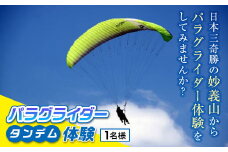《妙義スカイパーク》 パラグライダータンデム体験 (1名様分) 妙義山 パラグライダー 体験 フライト スポーツ F20E-713