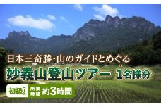 《初級コース》日本三奇勝・山のガイドとめぐる妙義山登山ツアー (1名様分)  日本三奇勝 妙義山 登山 山岳 ツアー 初級 ガイド付き 子供 お年寄り 観光 F20E-719