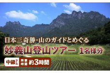 《中級コース》日本三奇勝・山のガイドとめぐる妙義山登山ツアー (1名様分)  日本三奇勝 妙義山 登山 山岳 ツアー 中級 ガイド付き 観光 F20E-720