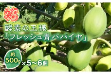 ＜先行予約＞ 酵素の王様 フレッシュ 青パパイヤ 合計3kg (約500g×5～6個)  パパイヤ ビタミン ミネラル アミノ酸 食物繊維 ポリフェノール 野菜 食品 F20E-697
