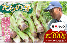 山菜の王様 たらの芽 (300g) たらの芽 タラの芽 ぐんま春王NT 山菜 野菜 食品 F20E-770