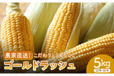 ＜2025年先行予約＞農家直送！こだわりトウモロコシ 5kg（12本～15本）ゴールドラッシュ とうもろこし トウモロコシ 野菜 コーン 野菜 食品 F20E-771