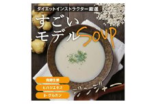 すごいモデルスープ 合計255g(8.5g×30包) 小分け 粉末 スープ ジンジャー 発酵 生姜 ヒハツエキス β-グルカン 食品 F20E-805
