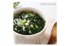 すごい元気わかめスープ 合計2セット(4g×30食) 小分け わかめ スープ 温活 美容 食品 F20E-813