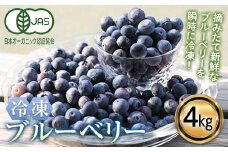 ＜有機JAS認定＞ 冷凍ブルーベリー (4kg) ブルーベリー JAS認定 農薬不使用 有機栽培 冷凍 フルーツベリー くだもの 果物 食品 F20E-850