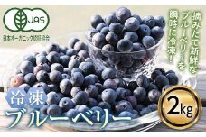 ＜有機JAS認定＞ 冷凍ブルーベリー (2kg) ブルーベリー JAS認定 農薬不使用 有機栽培 冷凍 フルーツベリー くだもの 果物 食品 F20E-849