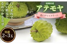 森のアイスクリーム 希少！富岡市産アテモヤ (1kg) アテモヤ 果物 くだもの フルーツ 食品 F20E-863