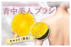 《シルク100％》 背中美人ブラシ 大サイズ(黄金) 背中 ケア ブラシ 国産 絹糸 シルク ぐんま黄金 黄金 角質除去 美容 F20E-899