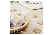 おから100％ZEROクッキー100枚セット F20E-995