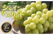 ぶどうファーム矢嶋直送 シャインマスカット 3房(1.3kg以上)  マスカット ぶどう ブドウ 葡萄 くだもの 果物 フルーツ 食品 F21E-064