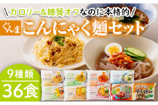 カロリー＆糖質オフなのに本格的 ぐんまこんにゃく麵セット (9種類36食) パスタ風 ラーメン風 冷麺 焼きそば うどん こんにゃく麵 セット コンニャク 蒟蒻 麺 低カロリー ダイエット 簡単調理 食品 F21E-028